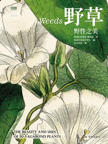 野草：野性之美