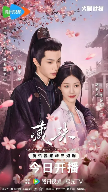 藏珠（24集）