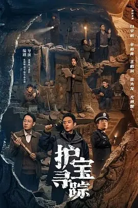 护宝寻踪[2025]