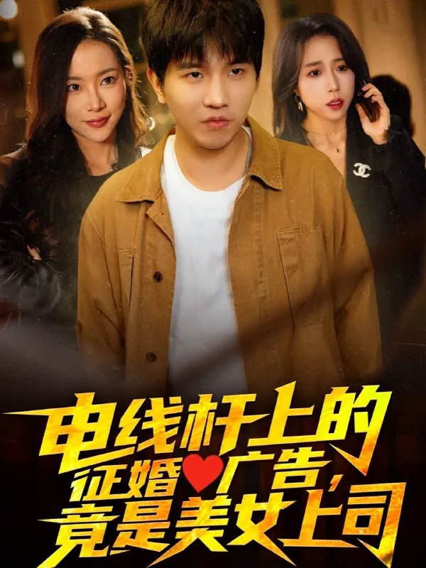 电线杆上的征婚广告，竟是我的美女上司