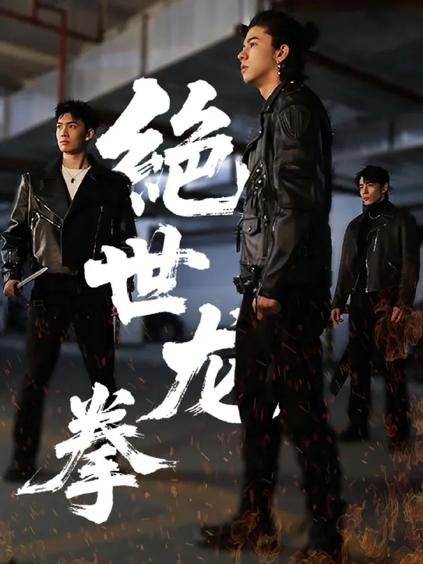 绝世龙拳（32集）