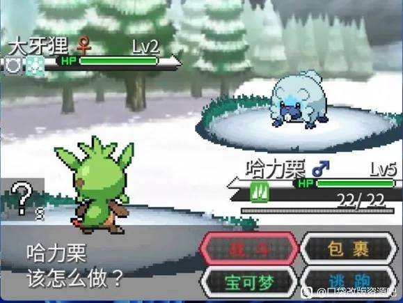 宝可梦：Z