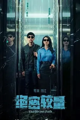 绝密较量[2025]