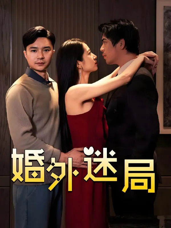婚外迷局（28集）金丹