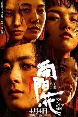 向阳·花[2025]