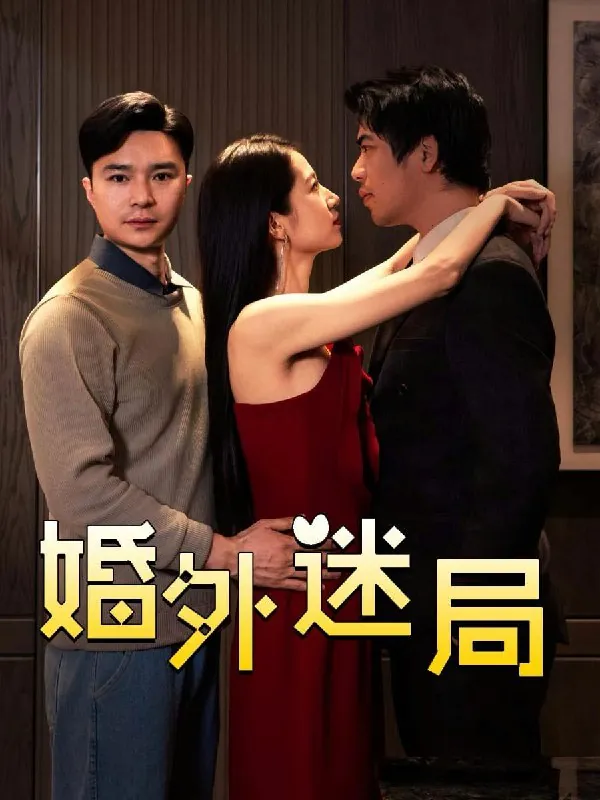 婚外迷局（28集）